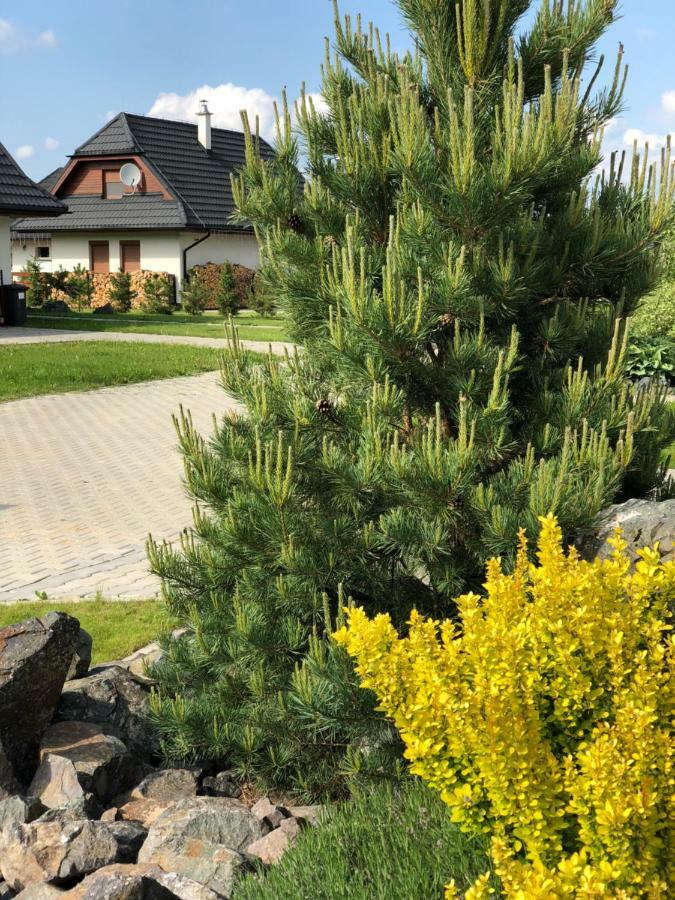 Villa Detvan Stará Lesná المظهر الخارجي الصورة